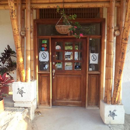 La Tortuga Hostel Taganga Exterior photo